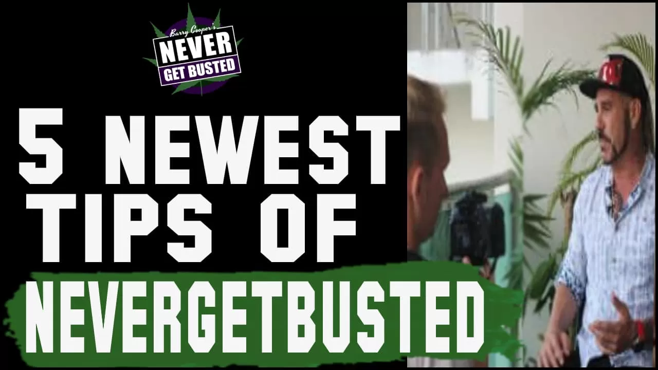 5 Newest Tips Of NeverGetBusted