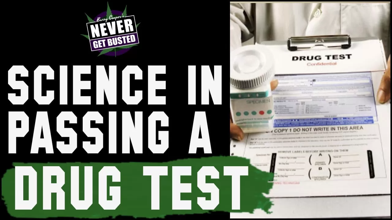 Science in Passing A Drug Test