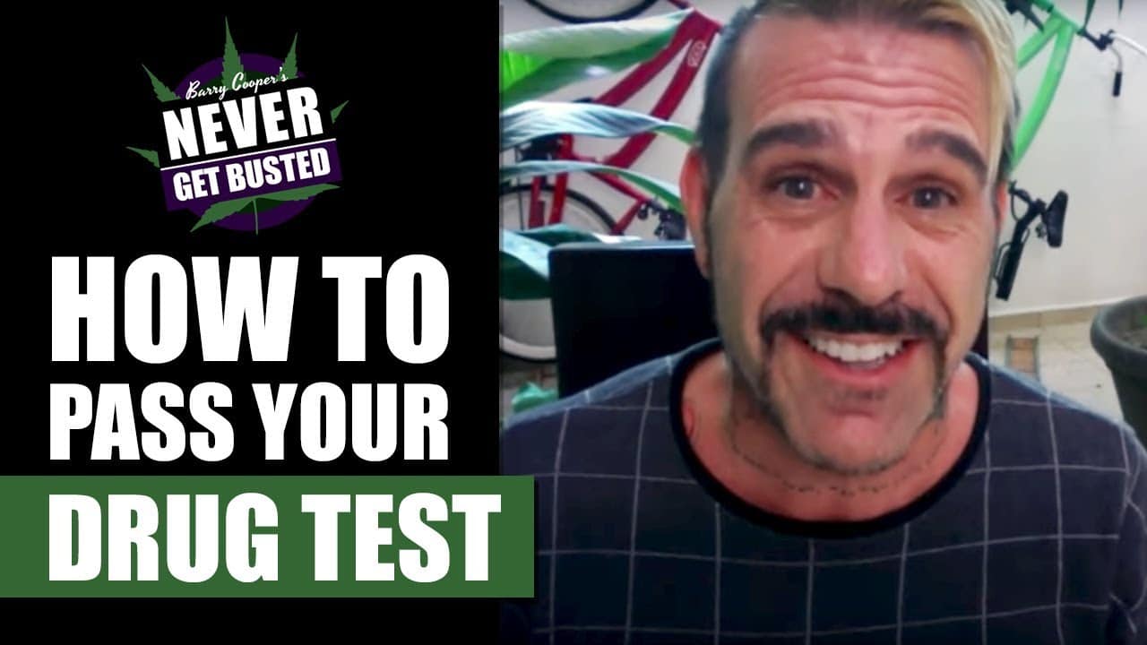 Barry Cooper how to pass a drug test
