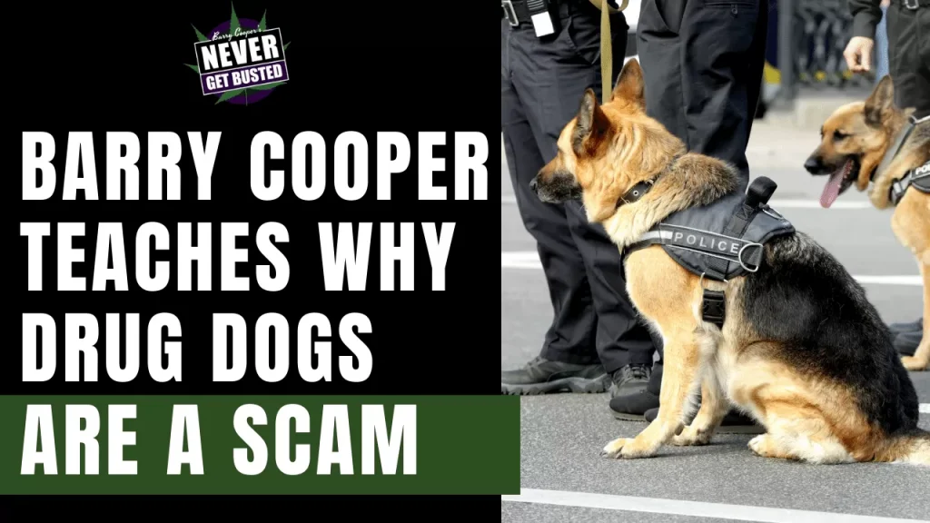 Barry-Cooper-Teaches-Why-Drug-Dogs